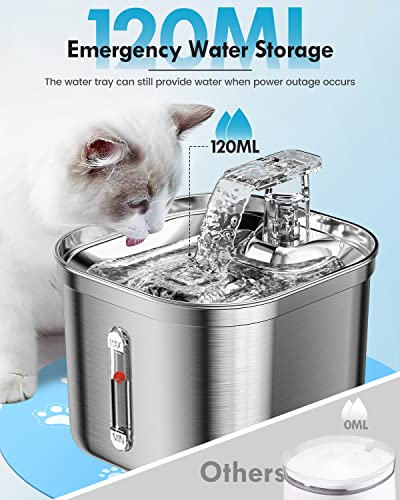 Rantizon Cat Water Fountain, 74Oz/2.2L Stainless Steel Cat Fountain Water Bowl, Quiet Electric Automatic Pet Water Fountain With Silicone Mat, Water Fountain For Cats Inside For Cats Dogs Pets #TOP4