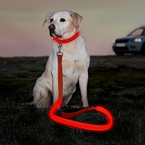 Illumifun LED Dog Leash, USB Rechargeable Light Up Dog Lead, 47.2inch Nylon Glowing Pet Leash for Your Night Dog Walking (RedⅠ)