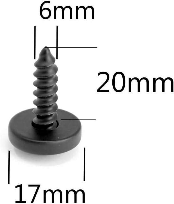 LFPartS Stainless Steel Rust Resistant License Plate Frame Self Tapping Screws Fasteners M6x20mm, Black