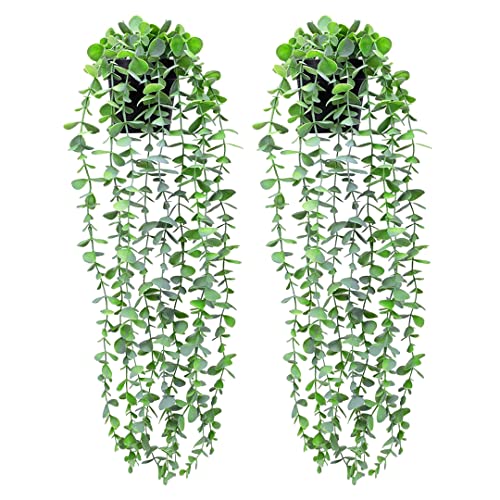 Deruxan 2 Stück Künstliche Topfpflanze Hängende Eukalyptuspflanzen im Topf Gefälschte Eukalyptuspflanzen Topfpflanzen mit Topf Künstliche Hängepflanze Grüne Reben für Innen, Außen, Wand, Dekoration