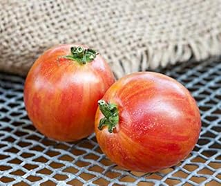 50 Seeds Pink Bumblebee Heirloom Tomato Premium Seed Seedset Non-Hybrid, Open-Pollinated, Suited for Canadian Climate