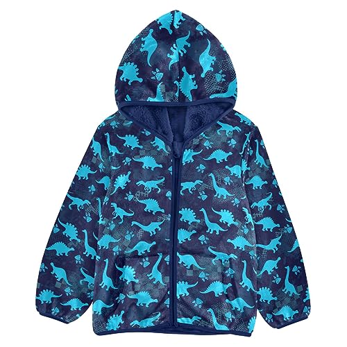 Cute Dinosaurs Blue Boys Fleece Hoody Jacket Zip Up Coat Warm Fall Winter Plush Jacket Long Sleeve Outerwear