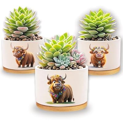 Highland Cow Planters for Indoor Plants 1350...