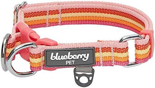Blueberry Pet 3 Colors Multi-Colored Stripe Adjustable Dog Collar, Warm Tone Rainbow Color, Large, Neck 18"-26"