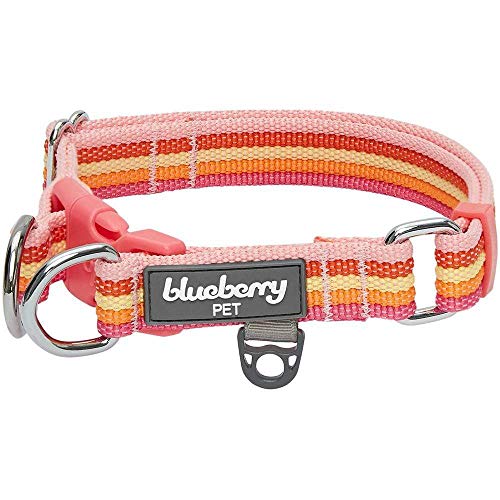 Blueberry Pet 3 Colors Multi-Colored Stripe Adjustable Dog Collar, Warm Tone Rainbow Color, Small, Neck 12