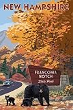 Yelenacca Franconia Notch State Park Nh Bear Family Fall Retro Metal Sign Tin Sign 8X12 Inches