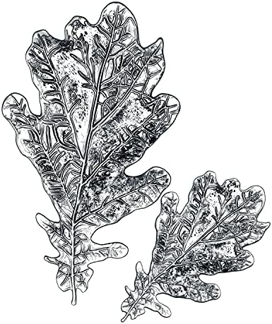 Sizzix 3-D Impresslits Embossing Folder Oak Leaf by Tim Holtz, 665374, Multicolor