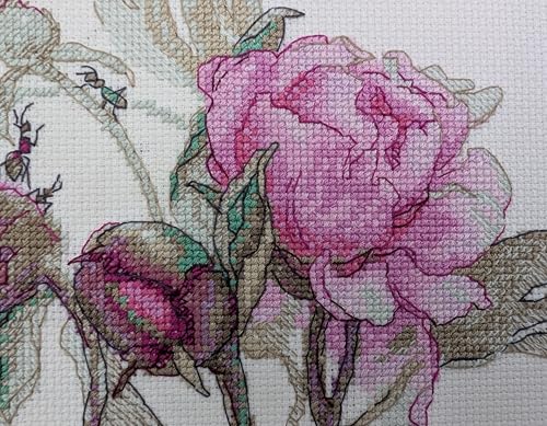Image of Aine - Peonies. Delight A1009, Cross Stitch Kits 7 inchx6 inch, Cross Stitch Kits for Beginners & Advanced, Crossstitching Kits Adult, Counted Cross Stitch Kits for Adults, Flowers Embroidery Kit