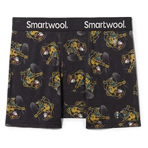 Smartwool Merino 150 Boxer Briefs for Men Cover
