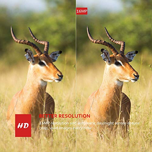 Victure Trail Game Camera 20MP 1080P Full HD with 940nm No Glow Night Vision Motion Activated IP66 Waterproof for Wildlife Watching and Home Security