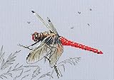 Wizardi RTO Counted Cross Stitch Kit on Canvas Aida with A Dragonfly on The Dandelion's Parachute. L