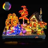 Juego de luces de mando a distancia compatible con Lego Autumn Cottage Garden 11372 (no modelo), juego de iluminación LED compatible con bloques de construcción Lego Autumn Cottage Garden