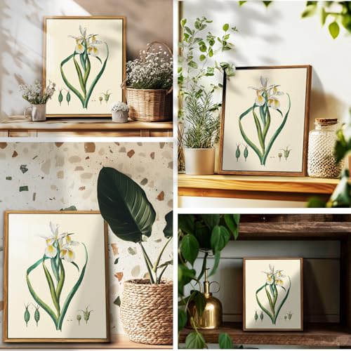 crmotu Vintage Floral Wall Art, White Iris Framed Art Prints, Minimalist Botanical Decor Pictures, Nature Plant Canvas Painting, Modern Farmhouse Wall Decor Living Room Bedroom Kitchen, 12x16 inch