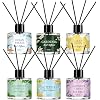 6 Pack Reed Diffuser Sets, Essential Oil Reed Diffusers for Home with 24 Sticks, Long Lasting Scent, Gift Ready Fragrance Diffuser for Bedroom, Bathroom, Office, Home Decor (1.69oz Each)