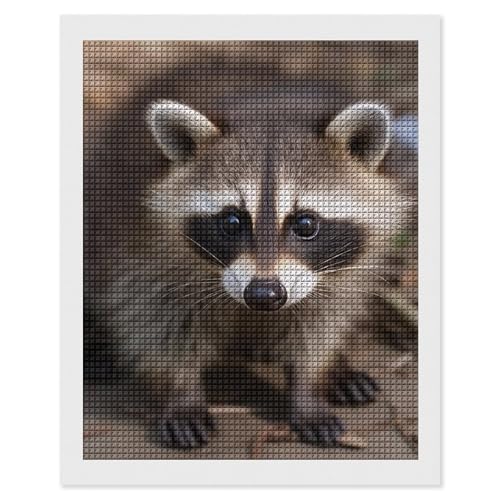 Peinture diamant 5D cub raton laveur kit art diamant adulte carré complet