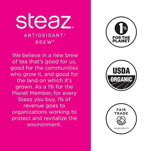 Steaz Organic Zero Calorie Iced Green Tea Antioxidant Brew, 16 Oz (Pack Of 12)(Zero Calorie Raspberry) #TOP2