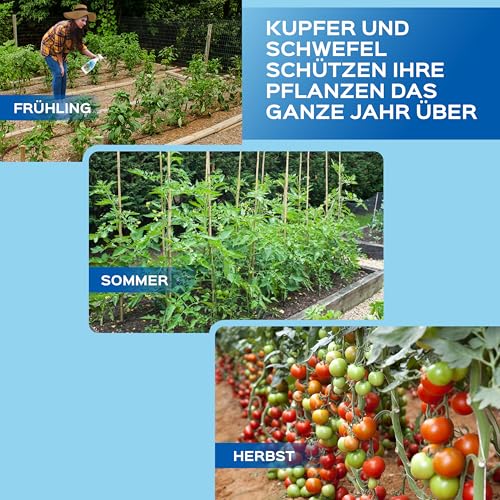 LERAVA Kupfer-Schwefel Fungizid Spray (700 ml) - Biologisches Spritzmittel gegen Mehltau, Pilzbefall und Blattflecken - Effektiver universal Pflanzenschutz - Mit Eisen, Mangan und Zink angereichert