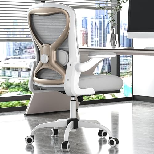 Ergonomic Office Desk Chair with Lumbar Support
