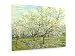 Produktbild Vincent Van Gogh - Der weiße Obstgarten - 80x60 cm - Leinwandbild auf Keilrahmen - Wand-Bild - Kunst, Gemälde, Foto, Bild auf Leinwand - Alte Meister/Museum