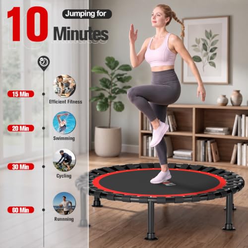 Image of ZCMHAXJ Foldable Mini Trampoline, 36 inch /40 inch /48 inch Rebounder Trampoline for Adults & Kids, 440lbs Capacity Indoor Fitness Workout Exercise Equipment