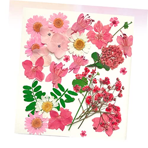 30 flores secas artesanales para decoración DIY miniatura 3