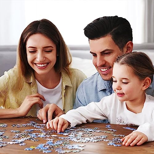 Jigsaw Puzzles for Adults 1000 Piece Jigsaw Puzzles for Adults Cinque Terre Beautiful Scenery Challenging Game Toys Birthday Gift for Adults Boys Girls(70 * 50cm / 27.6"X 19.7")