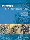  MESSEL - Ein fossiles Tropenökosystem (Senckenberg-Buch)