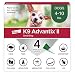 Ax Advantixii Dog 4mon 4-10lb Grn
