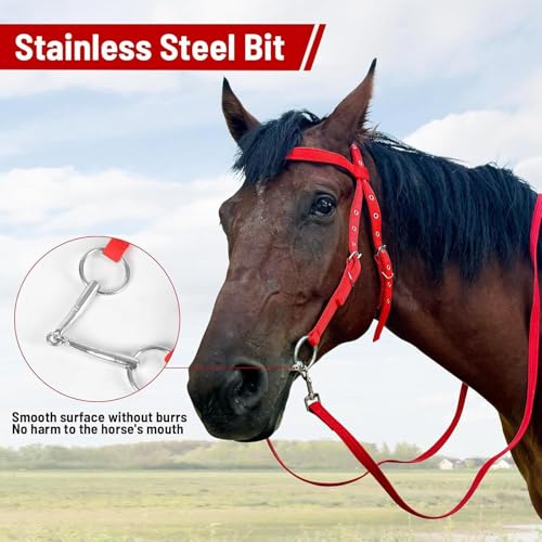 Brida de caballo para trail riding con riendas de snaffle ecuestres ajustables 3