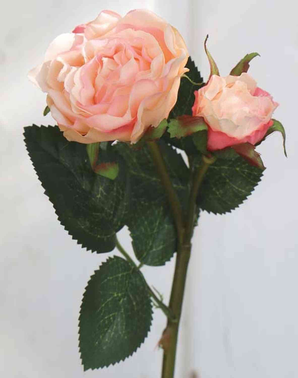 Rosa Artificiale Queenie, Colore Rosa Albicocca, Lunghezza 30 Cm, Fiore In Tessuto Con Stelo - 2