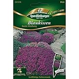 Quedlinburger