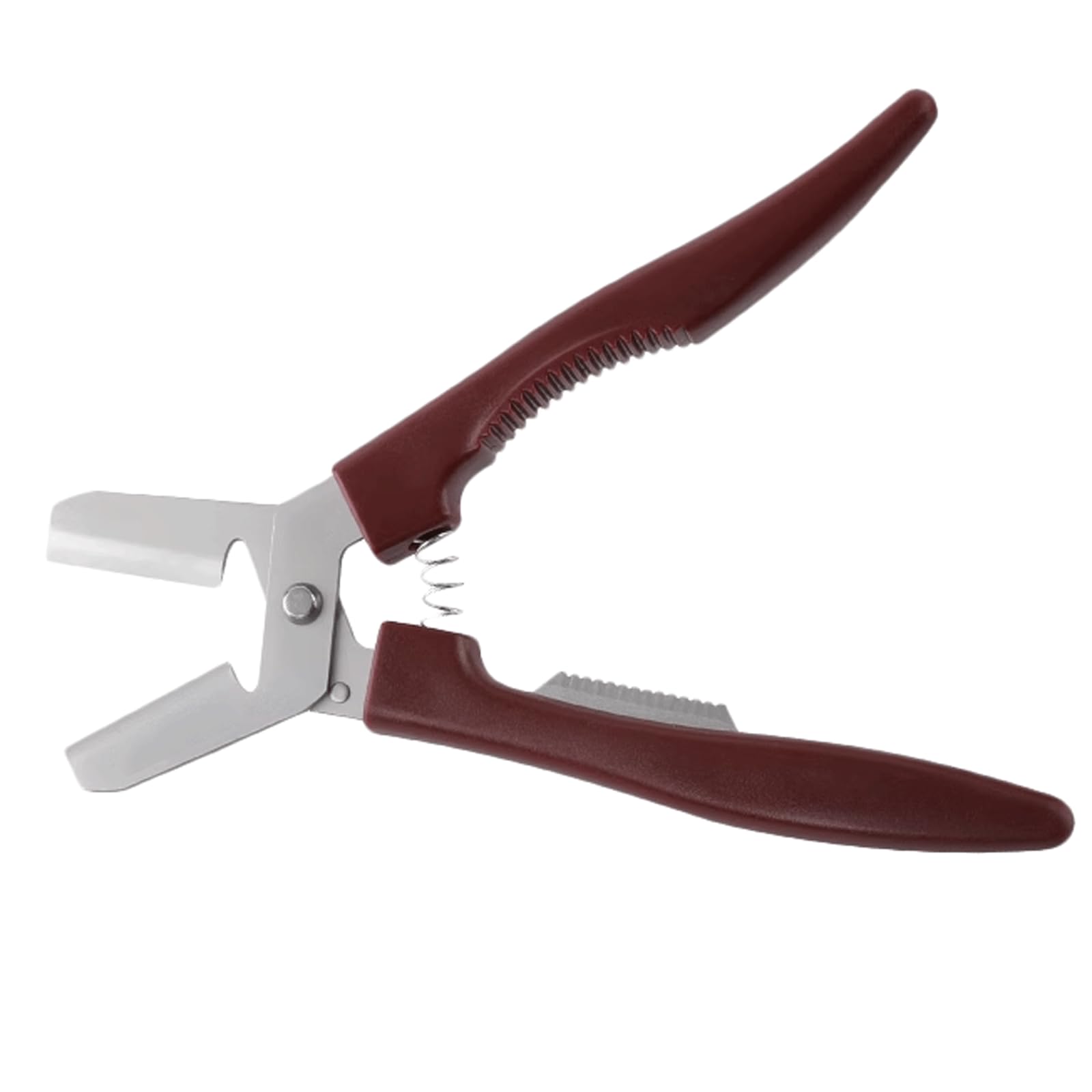 Pince Ouverte Pour Châtaigne, Outil De Coupe De Châtaignier C