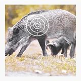 XFC-BAZI, 10 stücke Tierbogenschießen Ziel Papier 440x400mm Wildschwein Muster Darts Ziel Papier Jagd Konkurrenzfähiges spezielles Ziel Papier