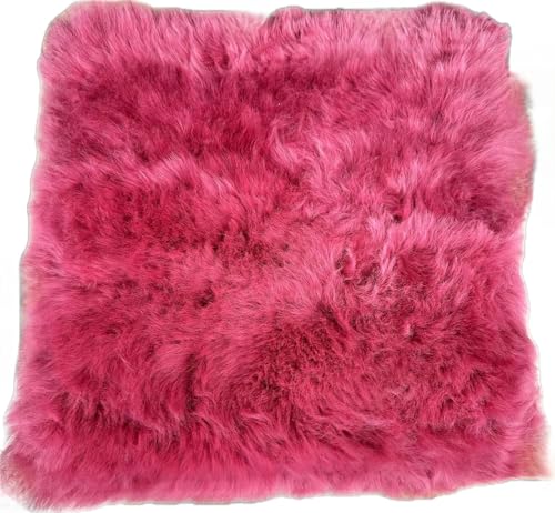 ���� ���[�g���V�[�g�N�b�V���� �唻�T�C�Y ���[�g�� ���z�c �I�[�X�g�����A�Y �\�t�A�[ �֎q �ԗp �������� 43x43cm (���C�����b�h)