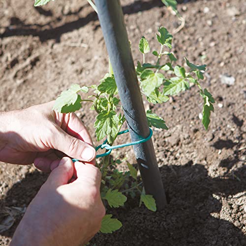 TENAX Tube Agricole Marron 500 g, Diamètre 3 mm, Reliure PVC pour Plantes, Légumes et Fleurs, Longueur 80 m – vue 5