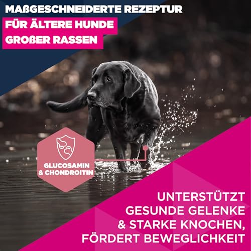 Eukanuba Senior Hundefutter mit frischem Huhn für große Rassen, Premium Trockenfutter für ältere Hunde, 15 kg
