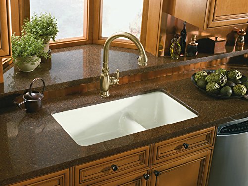 Kohler K-6625-Ff Iron/Tones Smart Divide Self-Rimming Or Undercounter Kitchen Sink, Sea Salt #TOP2