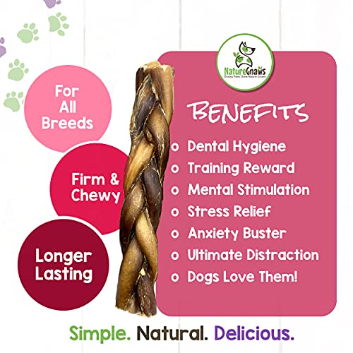Nature Gnaws Braided Pork Bully Sticks 5-6″ for Dogs – Premium Natural Dog Chew Treats – Dental Bones for Aggressive Chewers – Rawhide Free (20 Count) Nature Gnaws Braided Pork Bully Sticks 5-6″ for Dogs – Premium Natural Dog Chew Treats – Dental Bones for Aggressive Chewers – Rawhide Free (20 Count)
