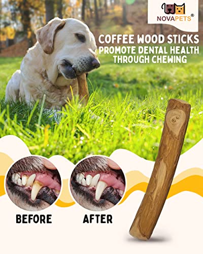 NOVAPETS Coffee Wood Dog Chew Stick for Small Dogs - Natural Dental Chewing Toy - Pack of 2 Size S, S (Pack of 2) - Image 3