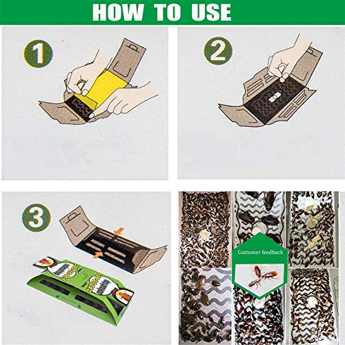 Consejos y comparativas para Comprar Jeringa mata cucarachas los 10 mejores. 25 Imagen adicional