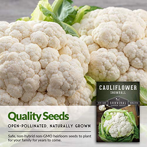 Survival Garden Seeds - Snowball Cauliflower Seed For Planting - Packet With Instructions To Plant And Grow Amazing White Vegetables In Your Home Vegetable Garden - Non-Gmo Heirloom Variety #TOP2