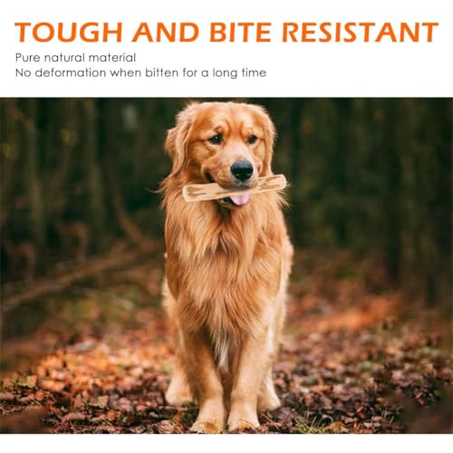 Hundekauspielzeug aus Holz, Kaffee-Holz, Hundekaustab für regelmäßiges Kauen, 100% natürliches Spielzeug sicher, Hundezahnreinigung & Stressabbau, Bio-Spielzeug geeignet für große Hunde und Welpen bis