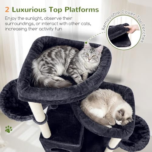 Image of Globlazer Cat Tree Tower for Indoor Cats, Sturdy Adult Cat Tree House for Large Adult Cats with 2 Platform, 6 Cat Scratching Post, 2 Cat Caves, Dangling Toys, S63, 63 inch, Dark Grey