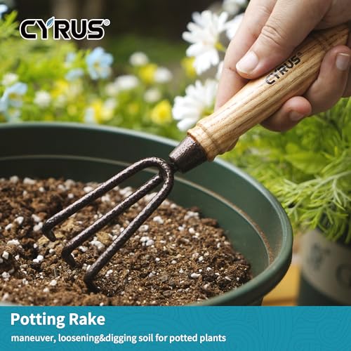 CYRUS-Garden-Tool-Set3-Piece-Garden-ShovelIncludes-Hand-Shovel-Transplanting-Shovel-and-Hand-Rake-with-Ash-Wood-Handle-for-Planting-Weeding-Maintaining-Lawns-and-Gardens