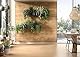EGGER DecoWall DO008 Loveland Eiche - umweltschonende Alternative zu herkömmlichen Wandverkleidungen, Holzverkleidungen, Wandpaneelen - OSB (1250 mm x 660 mm)