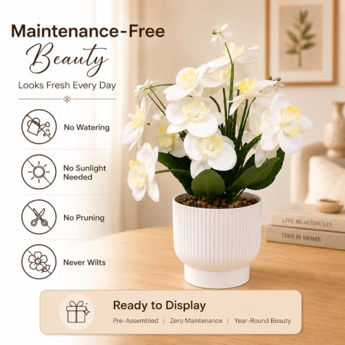 Image of CURATED CART Flower Pot with Artificial Flowers - Orchid White Flower with White Vase | Ideal for Home Decor | Office Decor | Gifting | Size 25 x 15cm
