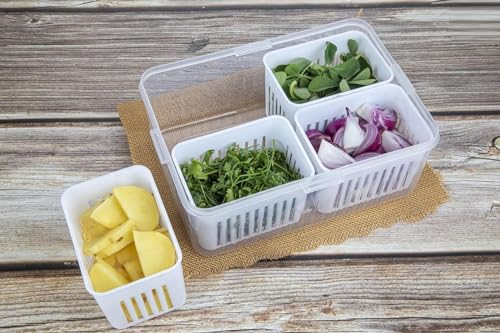 Image of RANIC Plastic Fridge Storage Boxes Freezer Storage Containers, Container For Kitchen Storage Set, Storage In Kitchen, Vegetable Storage,Refrigerator Food Box (4 Grid)