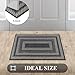 HEBE Door Mat Indoor Entrance 24
