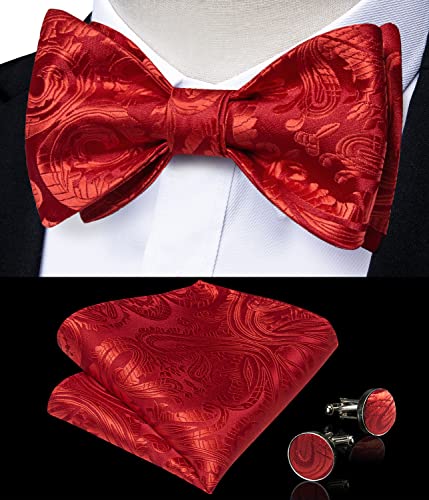 Image of DiBanGu Men Bow Tie Paisley Striped Self-Bow Tie for Men and Silk Woven Bowtie Pocket Square Cufflinks Wedding Party