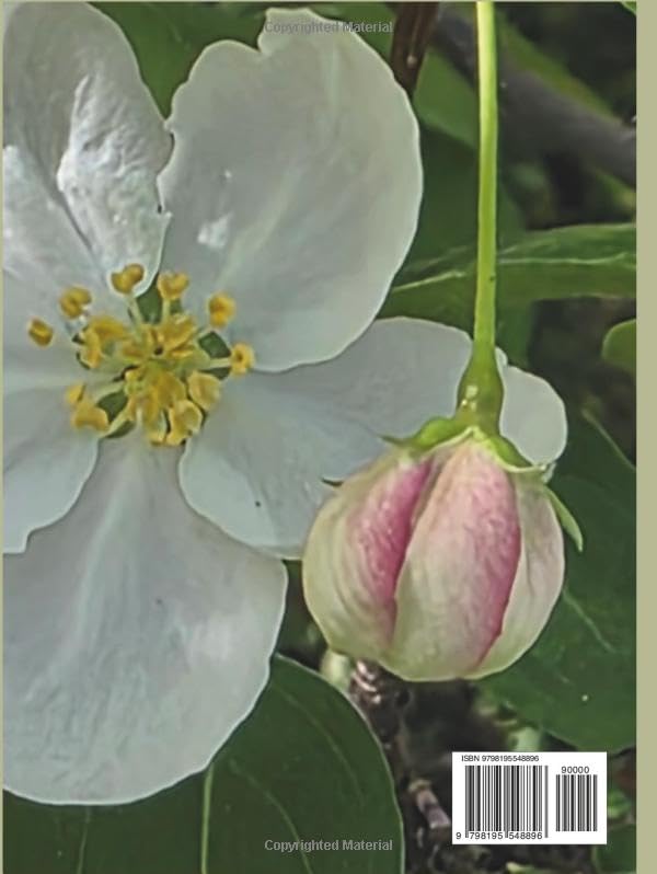 Coffee table book Flower Blossoms pour décorer un salon chaleureux - 3